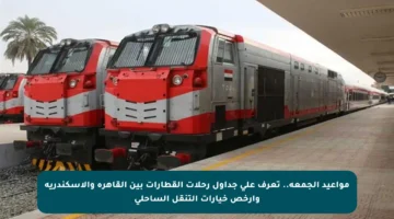 مواعيد الجمعة.. تعرف على جداول رحلات القطارات بين القاهرة والإسكندرية وأرخص خيارات التنقل الساحلي